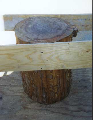 Stump Ready for Router